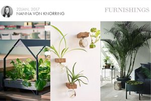 Four plant trends that are predicted to be major at 2017